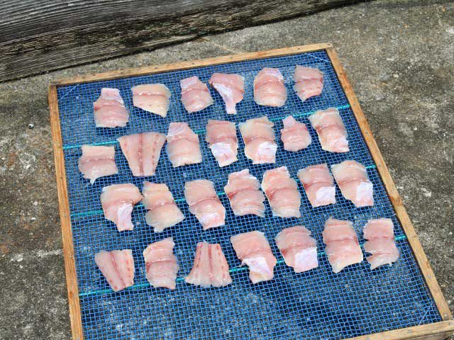 【三重・尾鷲×港町】須賀利漁港