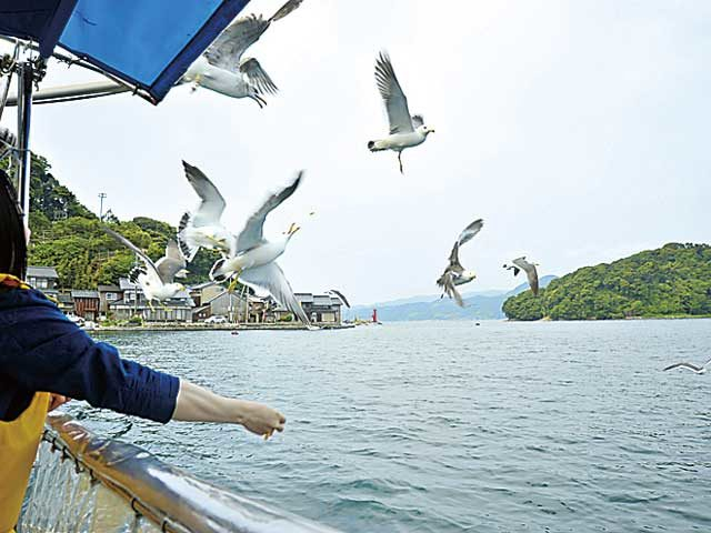 モデルプラン① 海の上から舟屋を見学「 海上タクシー 亀島丸」