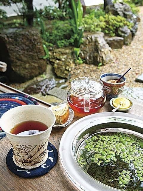 【篠山×城下町観光】日本庭園を眺めながらひといき「ギャラリー&カフェ惠山」