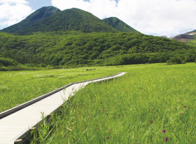 【やまなみハイウェイドライブ③】くじゅう随一のハイライト「長者原」