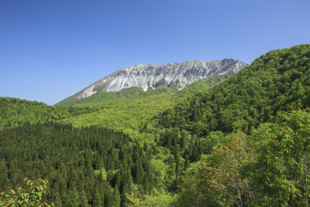 大山はこんなところ!