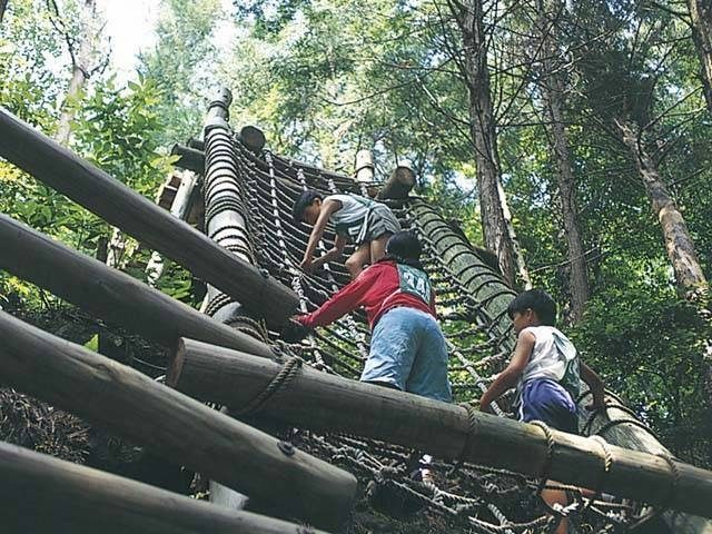 【大山の観光ナビ】森の国