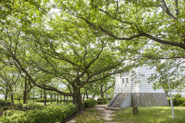 【境港の観光スポット】境台場公園