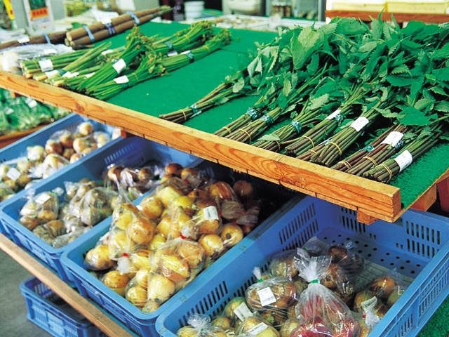 【大山の観光ナビ】大山ガーデンプレイス