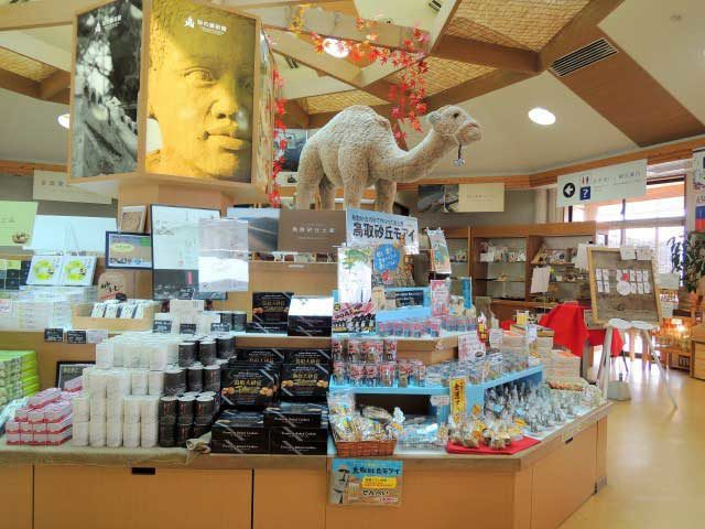 【鳥取のおすすめ土産】砂の美術館ショップ