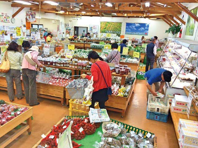 【東郷湖のおすすめ観光スポット】地域に根ざした産直市場「JA鳥取中央 ハワイ夢マート」