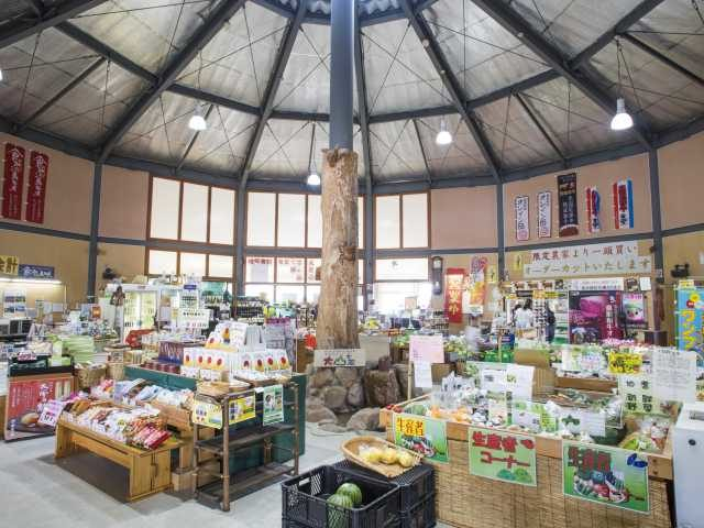 【大山の観光ナビ】ご当地ファーム山の駅 大山望