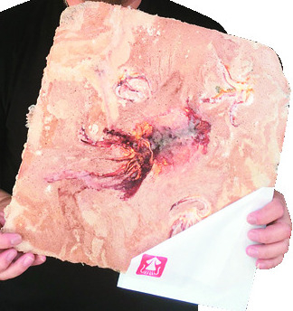 【呼子朝市のおすすめ!】呼子プレス商会