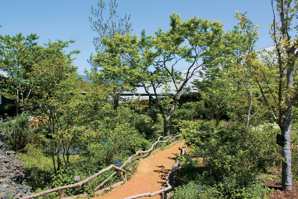 【高知県立牧野植物園をご案内】牧野富太郎記念館 展示館