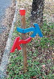 【ひと味違った歩き方を教えます】九州オルレ唐津コース