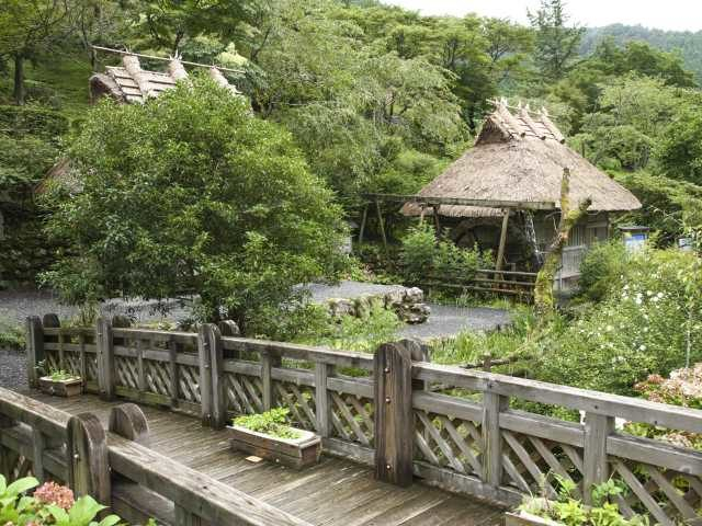 【梼原×観光】多彩な施設が集まる緑豊かな公園「太郎川公園」