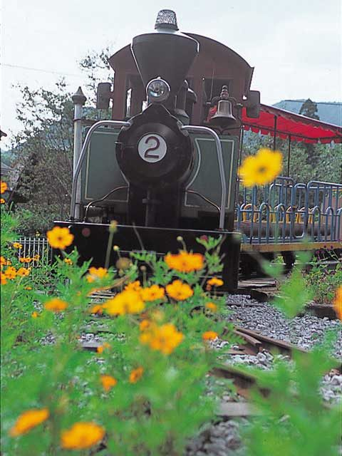 【高知・馬路村×観光】森林鉄道&インクラインに揺られて「森林鉄道」
