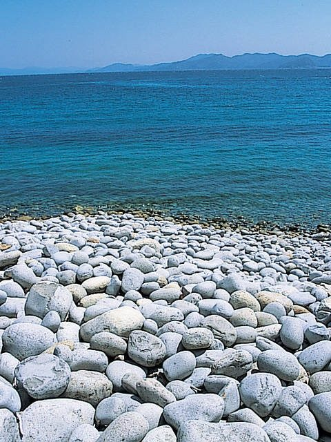 【高知・宿毛&大月×観光】海遊びが楽しめる「沖の島」