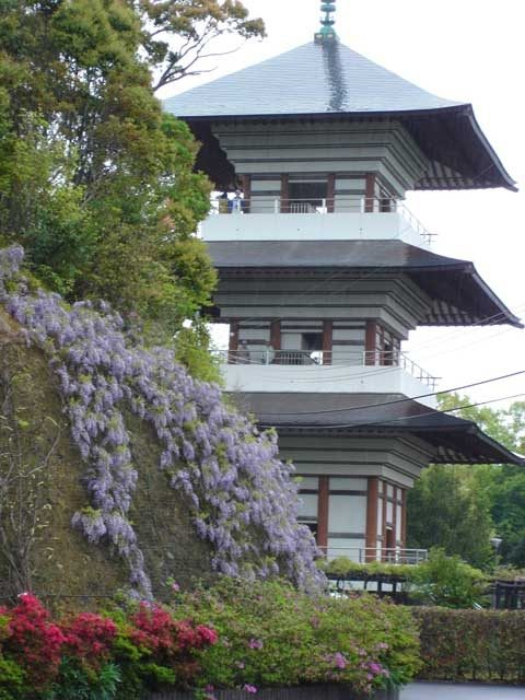 香山寺市民の森