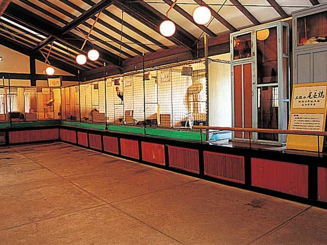 龍河洞珍鳥センター