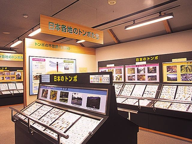 四万十川学遊館(あきついお)