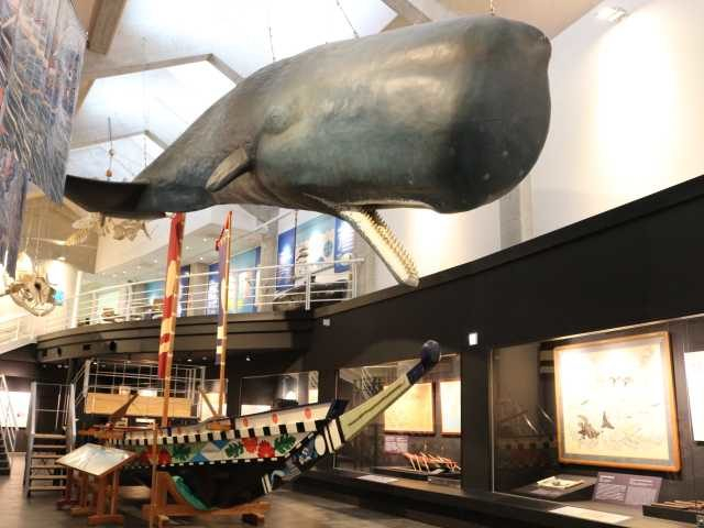 【高知×道の駅】鯨資料館を観賞したあとはクジラ料理と室戸みやげを「道の駅 キラメッセ室戸」