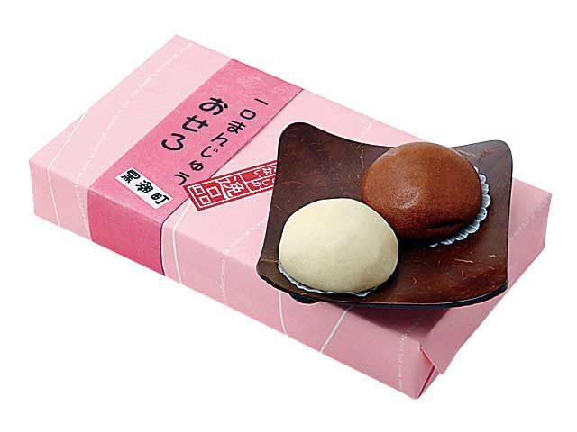 【高知×道の駅】木のぬくもりを感じる店内で釜炊きご飯と魚介に舌鼓「道の駅 ビオスおおがた」