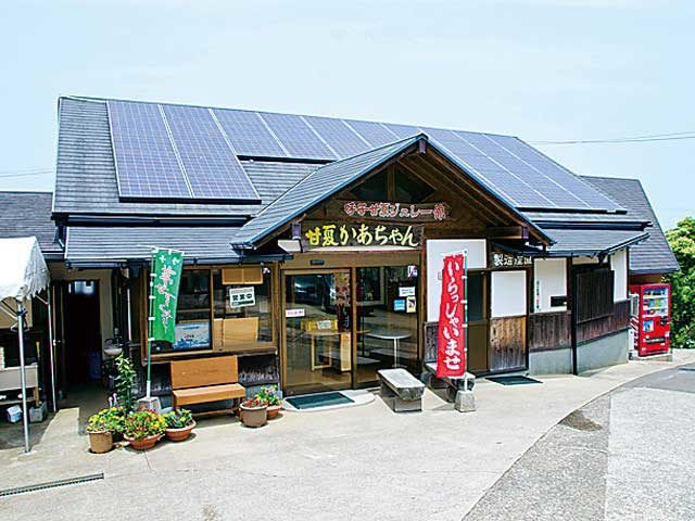 甘夏かあちゃん