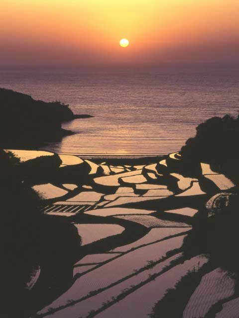浜野浦の棚田