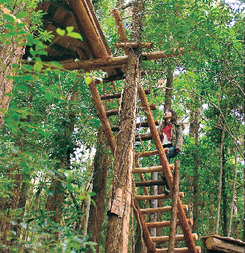 梢回廊キャノッピ