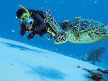 【奄美でマリンレジャー!】Aqua Dive kohollo