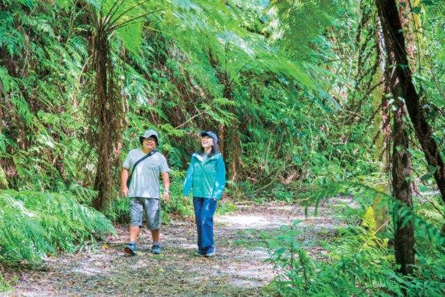 【ここで体験】 アイランドサービス