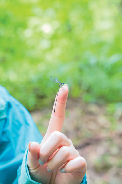 【10:15】 原生林の入り口に到着