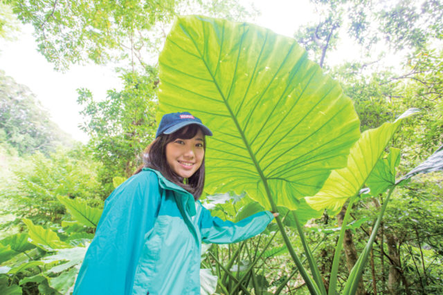 【10:15】 原生林の入り口に到着