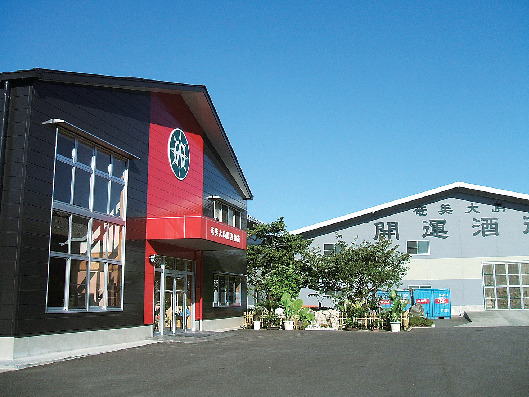 【奄美大島のお土産】奄美大島開運酒造