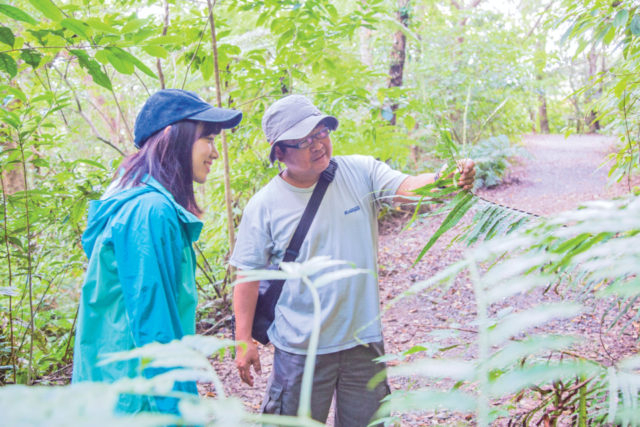 【10:15】 原生林の入り口に到着