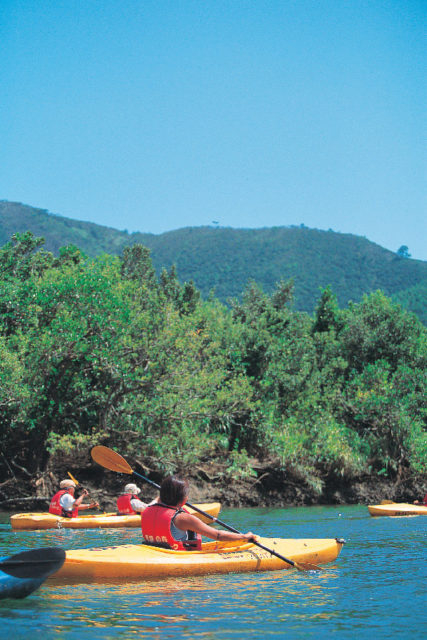 マングローブ原生林カヌー体験の流れ