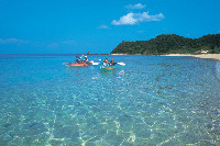 奄美大島にまつわるキーワード5.エコツアーで自然にふれる