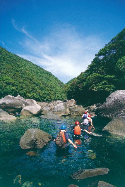 こんなコトができる!