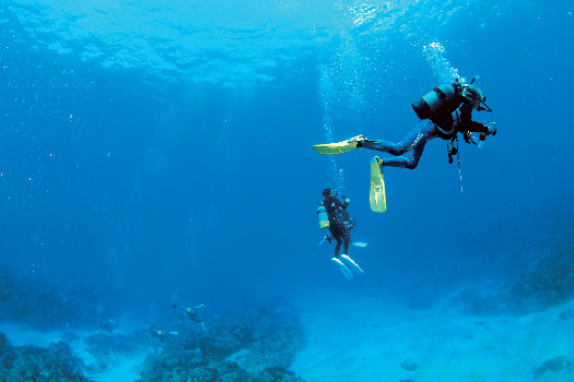 こんなコトができる!