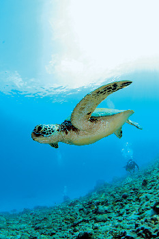 こんなコトができる!