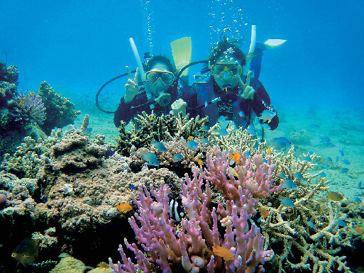 こんなコトができる!