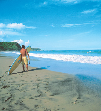 こんなコトができる!