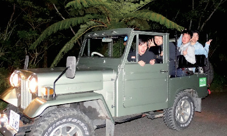 ナイトツアーの注意点