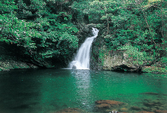 奄美フォレストポリス