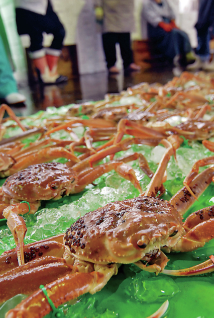 間人(たいざ)のカニ