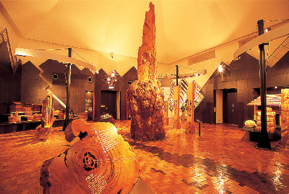 屋久島町屋久杉自然館