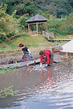 大島紬泥染公園