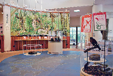 【奄美大島 中南部の観光情報】環境省 奄美野生生物保護センター