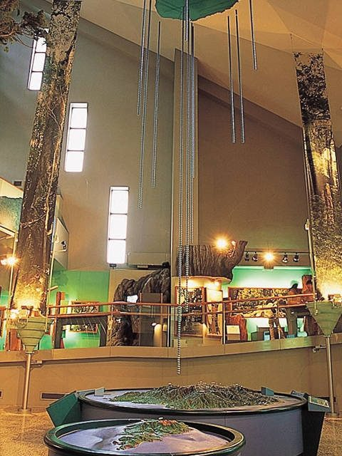 【宮之浦周辺×観光】屋久島の旅はここから! 雨の日にもおすすめ「屋久島環境文化村センター」