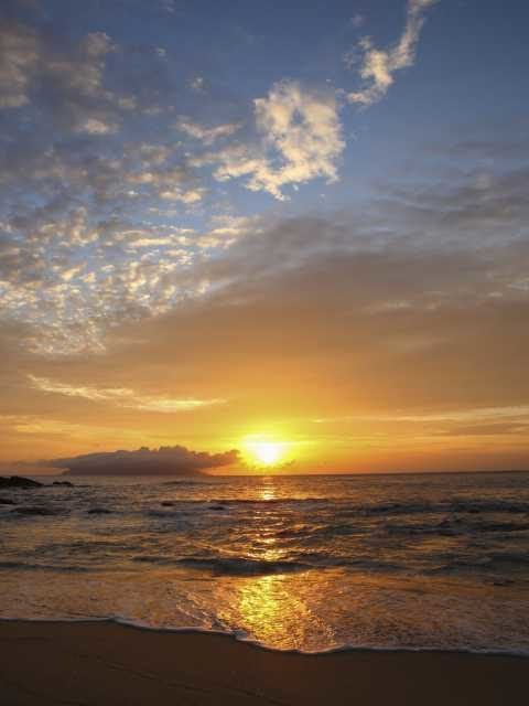 ココで観察できる!