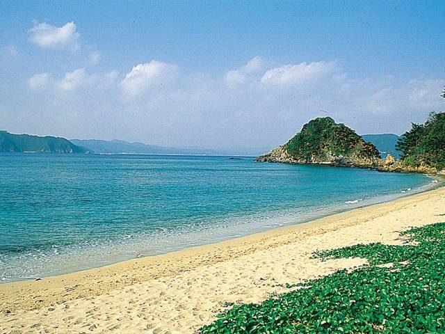 【奄美大島 中南部の観光情報】ヤドリ浜