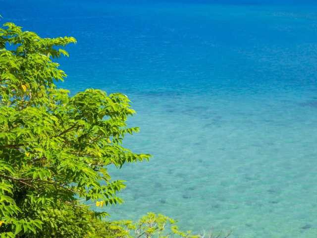 【加計呂麻島の観光スポット】実久海岸