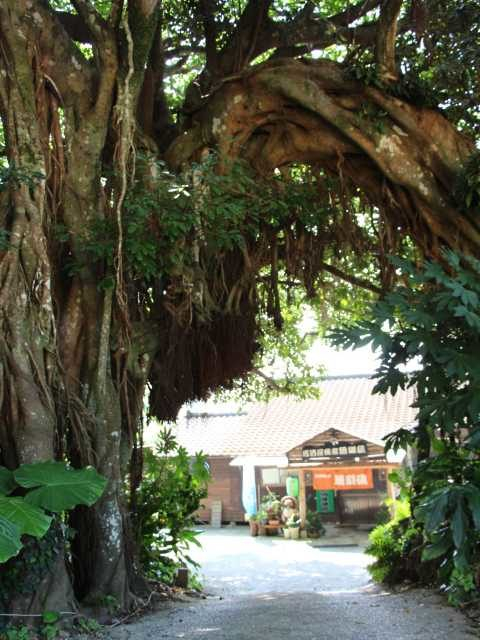 居酒屋民宿 珊瑚礁