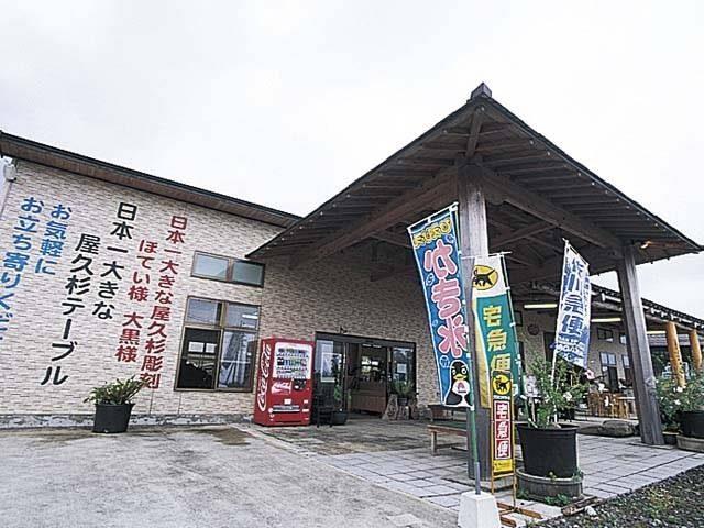 ドライブイン屋久杉 縄文